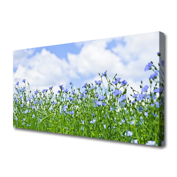 Quadro su tela Fiori, piante, natura