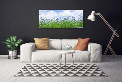 Quadro su tela Fiori, piante, natura