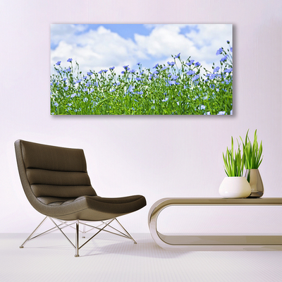 Quadro su tela Fiori, piante, natura