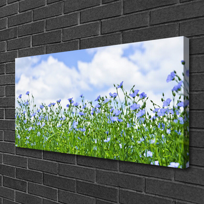 Quadro su tela Fiori, piante, natura