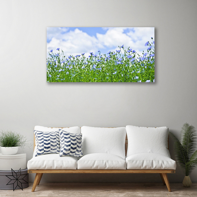 Quadro su tela Fiori, piante, natura