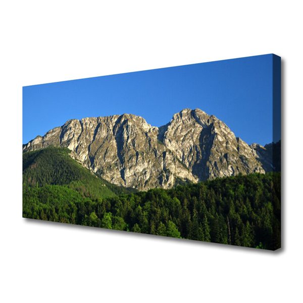 Quadro su tela Montagna della foresta della natura