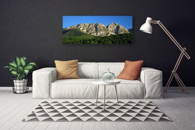 Quadro su tela Montagna della foresta della natura