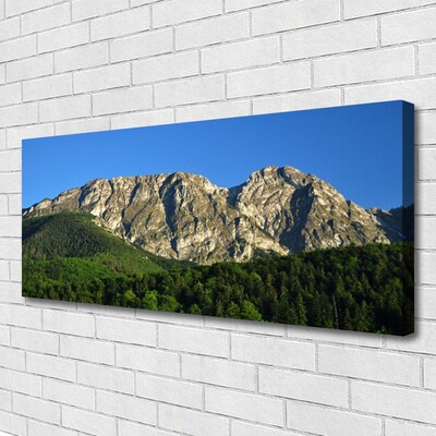 Quadro su tela Montagna della foresta della natura