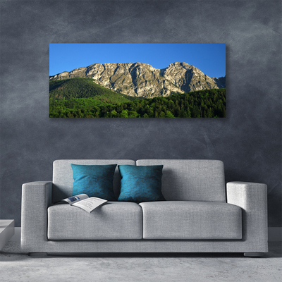 Quadro su tela Montagna della foresta della natura