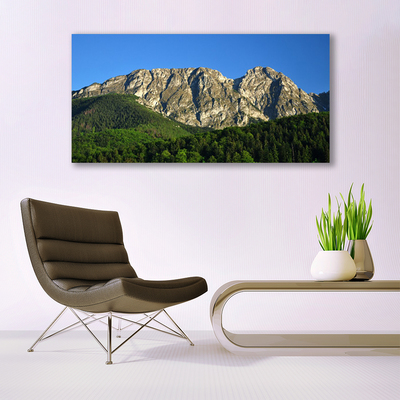 Quadro su tela Montagna della foresta della natura