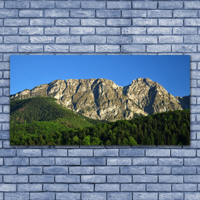 Quadro su tela Montagna della foresta della natura