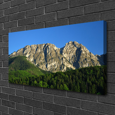 Quadro su tela Montagna della foresta della natura