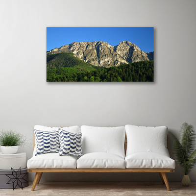 Quadro su tela Montagna della foresta della natura