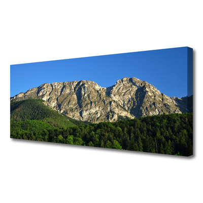 Quadro su tela Montagna della foresta della natura