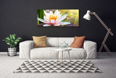 Quadro su tela Fiori, piante, natura