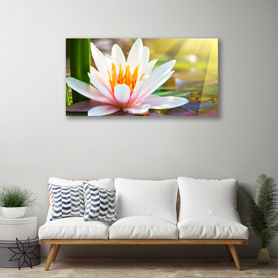 Quadro su tela Fiori, piante, natura