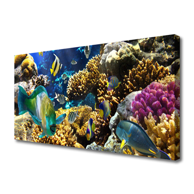 Quadro su tela Natura della barriera corallina
