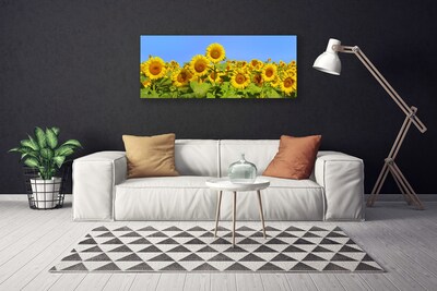 Stampa quadro su tela Pianta di fiori di girasole