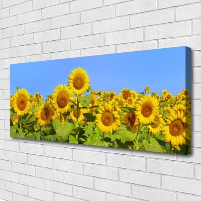 Stampa quadro su tela Pianta di fiori di girasole