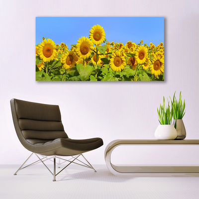 Stampa quadro su tela Pianta di fiori di girasole