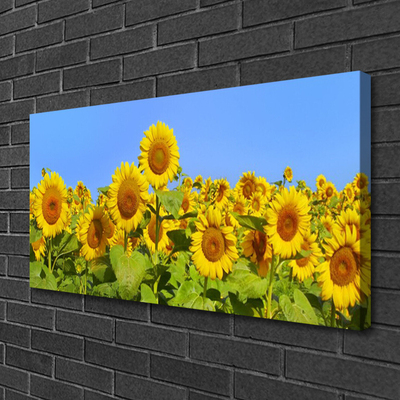 Stampa quadro su tela Pianta di fiori di girasole