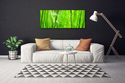 Foto quadro su tela Erba, piante, natura