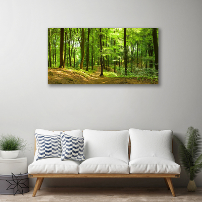 Stampa quadro su tela Foresta del percorso della natura