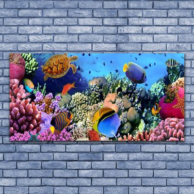 Quadro stampa su tela Natura della barriera corallina