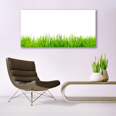 Quadro su tela Erba Natura Pianta