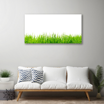 Quadro su tela Erba Natura Pianta