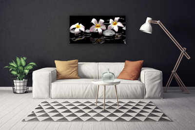 Foto quadro su tela Pianta di pietre di fiori