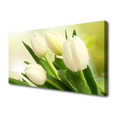 Quadro su tela Tulipani, fiori, piante