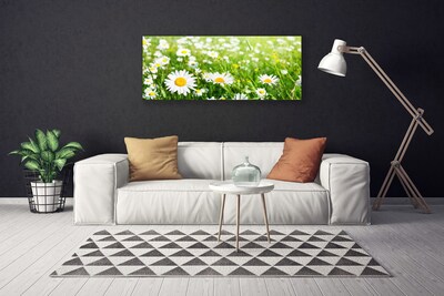 Quadro stampa su tela Pianta di fiori di margherita