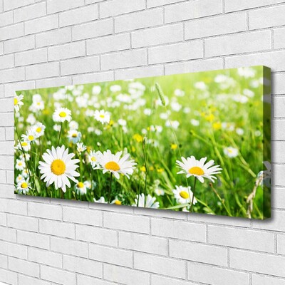 Quadro stampa su tela Pianta di fiori di margherita