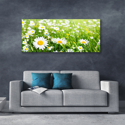 Quadro stampa su tela Pianta di fiori di margherita