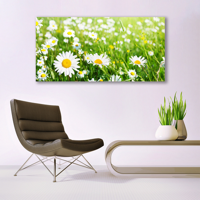 Quadro stampa su tela Pianta di fiori di margherita