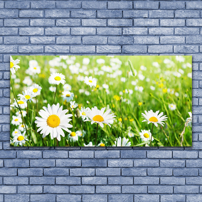 Quadro stampa su tela Pianta di fiori di margherita