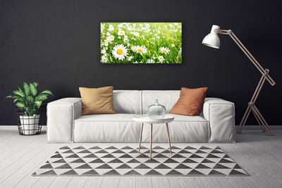 Quadro stampa su tela Pianta di fiori di margherita