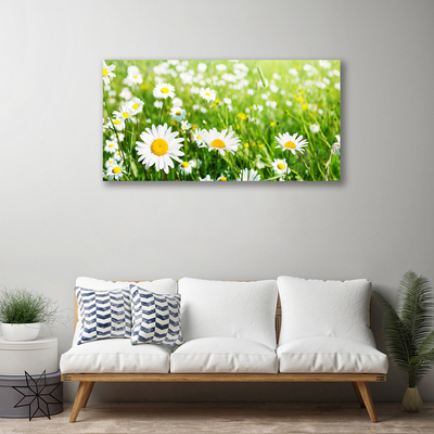 Quadro stampa su tela Pianta di fiori di margherita