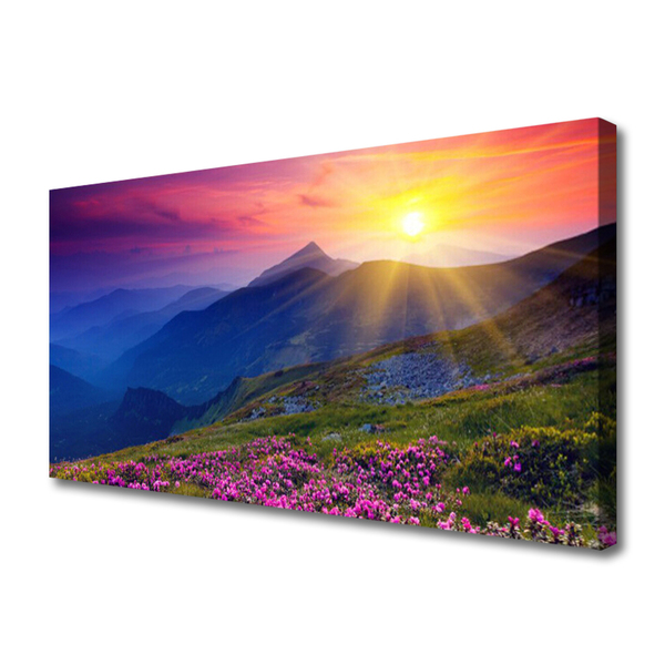 Quadro su tela Paesaggio del prato di montagna del fiore