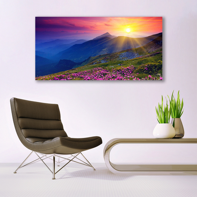 Quadro su tela Paesaggio del prato di montagna del fiore