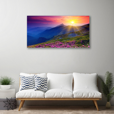 Quadro su tela Paesaggio del prato di montagna del fiore