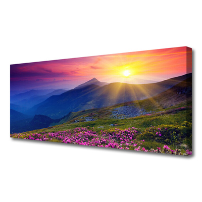 Quadro su tela Paesaggio del prato di montagna del fiore