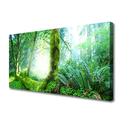 Quadro su tela Foresta della natura del muschio