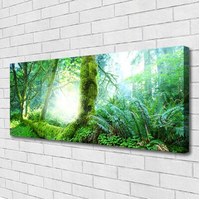 Quadro su tela Foresta della natura del muschio