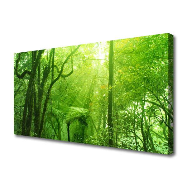 Quadro su tela Alberi della natura