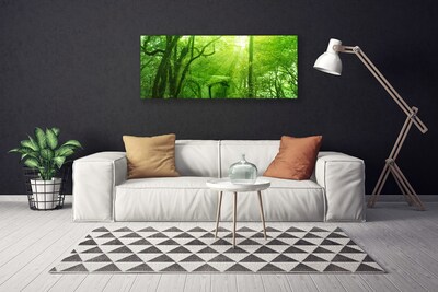 Quadro su tela Alberi della natura