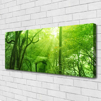 Quadro su tela Alberi della natura