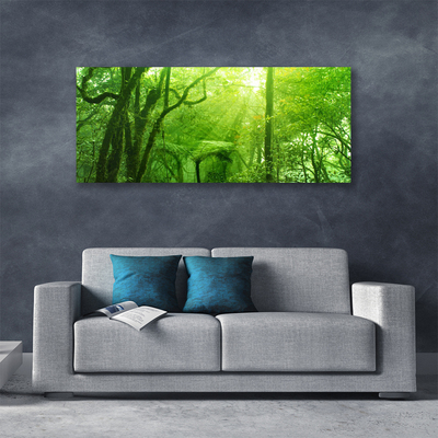 Quadro su tela Alberi della natura