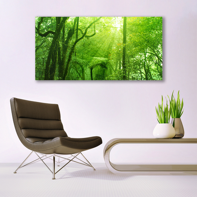 Quadro su tela Alberi della natura