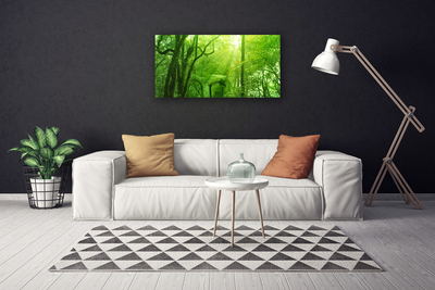 Quadro su tela Alberi della natura