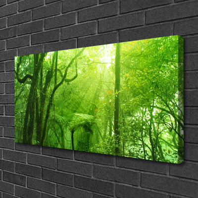 Quadro su tela Alberi della natura