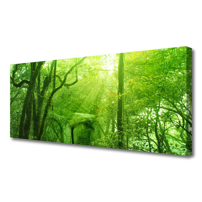 Quadro su tela Alberi della natura