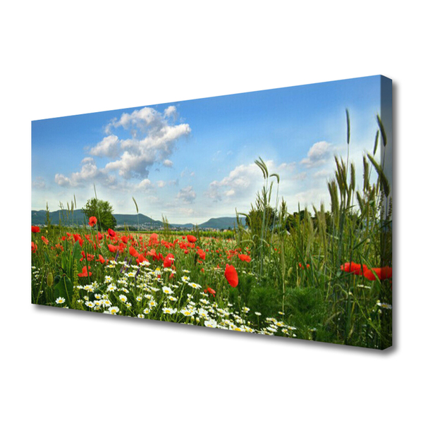 Stampa quadro su tela Prato, fiori, natura